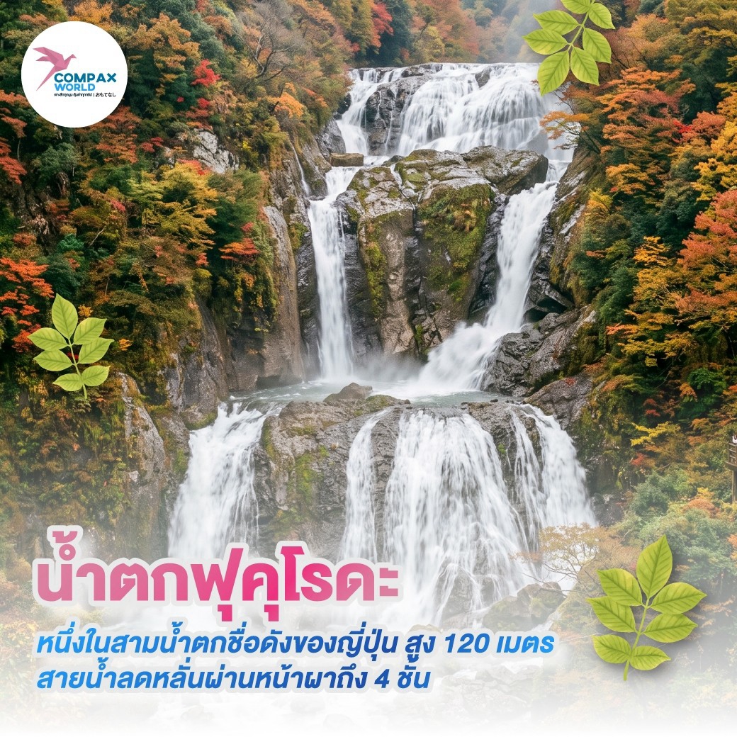 เที่ยวญี่ปุ่น ทัวร์ญี่ปุ่น ทัวร์ญี่ปุ่นพรีเมี่ยม โปรแกรมทัวร์ญี่ปุ่น